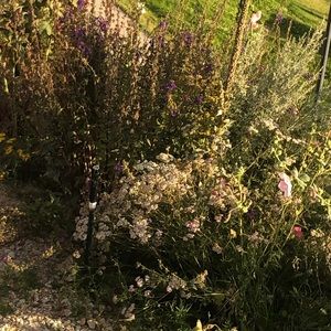 Meet your Posher, Heidi